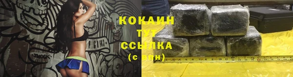 ПСИЛОЦИБИНОВЫЕ ГРИБЫ Приозерск