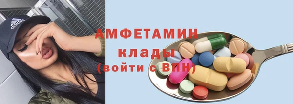 индика Алзамай