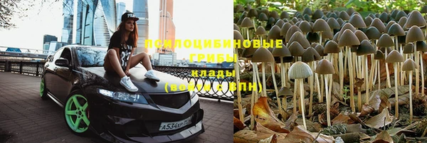 a pvp Абинск