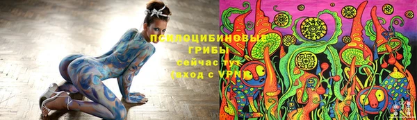 PSILOCYBIN Абаза