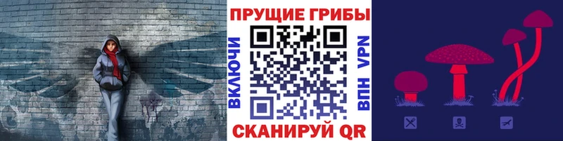 Псилоцибиновые грибы Psilocybine cubensis  Задонск 